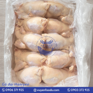 GÀ DAI HÀN QUỐC HANRYEO 10 CON